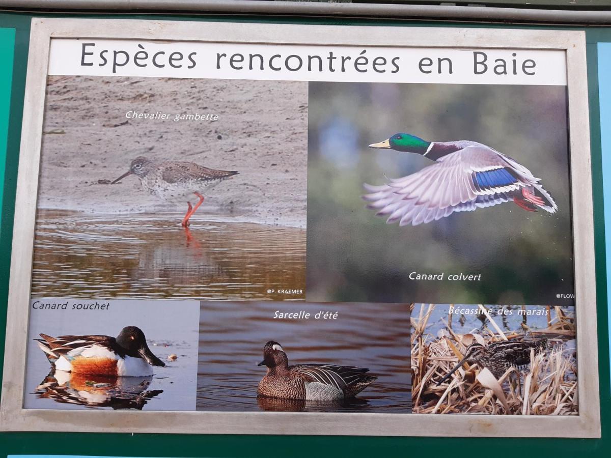 Les Obiones, Vue Laterale Mer, Fort Mahon Plage, Magnifique Studio Cabine 4P, Avec Balcon , Parking Prive Gratuit, Wifi, Classe 2 Etoiles, Exposition Plein Sud En Baie De Somme Exterior photo