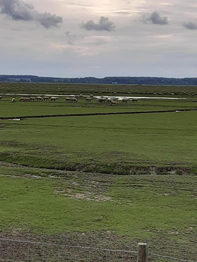 Les Obiones, Vue Laterale Mer, Fort Mahon Plage, Magnifique Studio Cabine 4P, Avec Balcon , Parking Prive Gratuit, Wifi, Classe 2 Etoiles, Exposition Plein Sud En Baie De Somme Exterior photo