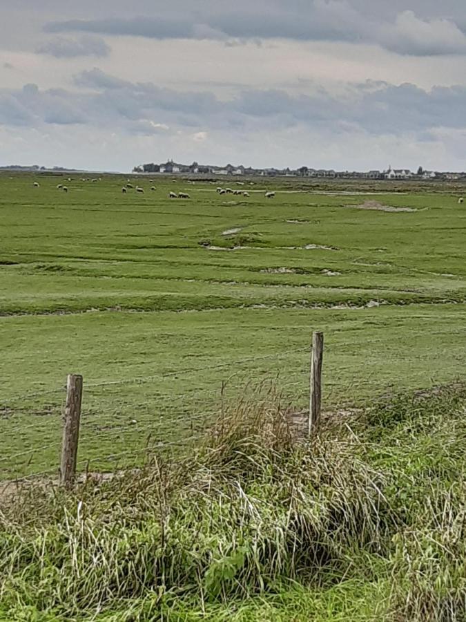 Les Obiones, Vue Laterale Mer, Fort Mahon Plage, Magnifique Studio Cabine 4P, Avec Balcon , Parking Prive Gratuit, Wifi, Classe 2 Etoiles, Exposition Plein Sud En Baie De Somme Exterior photo