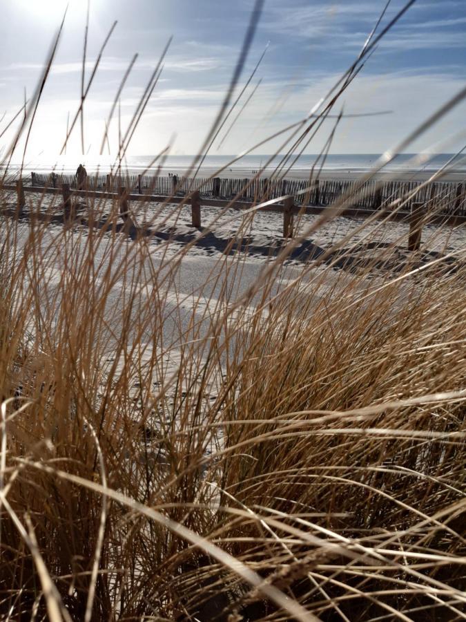 Les Obiones, Vue Laterale Mer, Fort Mahon Plage, Magnifique Studio Cabine 4P, Avec Balcon , Parking Prive Gratuit, Wifi, Classe 2 Etoiles, Exposition Plein Sud En Baie De Somme Exterior photo